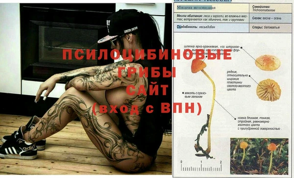 прущий лед Новозыбков