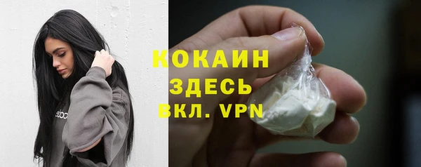 прущие грибы Армянск