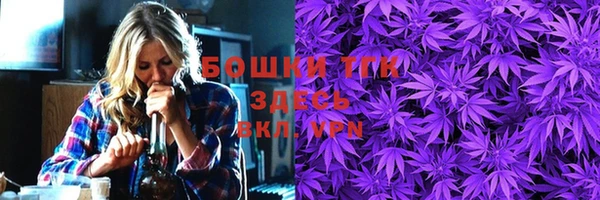 прущие грибы Армянск