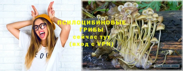 прущие грибы Армянск