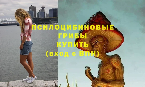 прущие грибы Армянск